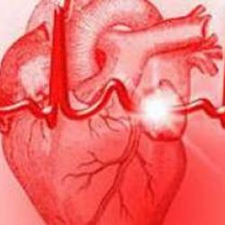Salud periodontal y cardiovascular
